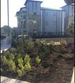 15405 Long Vista Dr - Photo 2