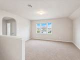 24635 Signorelli Way - Photo 19