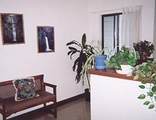 1204 Andrew Ave - Photo 8