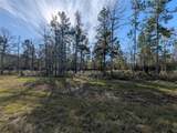 10698 Ruger Road - Photo 7