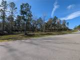 10698 Ruger Road - Photo 8