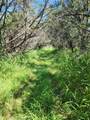 TBD Forest Drive - Photo 4