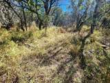 TBD Forest Drive - Photo 9