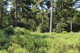 Tract 66 Private Road 1318 - Photo 14