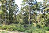 Tract 66 Private Road 1318 - Photo 15