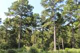 Tract 66 Private Road 1318 - Photo 16