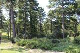 Tract 66 Private Road 1318 - Photo 17
