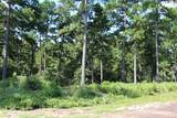 Tract 66 Private Road 1318 - Photo 18