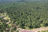 Tract 66 Private Road 1318 - Photo 23