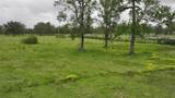 1244 County Road 332 Tract 4 - Photo 6