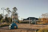 12121 Moonlight Path Drive - Photo 8
