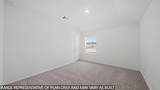 20489 Coast Redwood Street - Photo 13