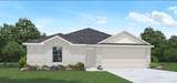 20489 Coast Redwood Street - Photo 2