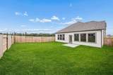 31111 Napoli Hills Drive - Photo 29