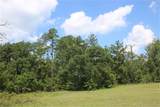 10182 County Road 208 - Photo 12