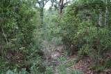 10182 County Road 208 - Photo 5