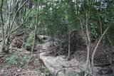 10182 County Road 208 - Photo 7