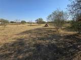 36847 Richard Frey Drive - Photo 8