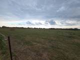 36847 Richard Frey Drive - Photo 9