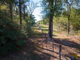80 Rosenwall Road - Photo 13