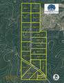 Tract 10 Timberland Branch Drive - Photo 10