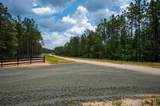 Tract 10 Timberland Branch Drive - Photo 6