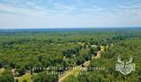 TBD Ranch Road Off Cr 405- 245 Acres - Photo 10