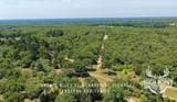 TBD Ranch Road Off Cr 405- 245 Acres - Photo 8