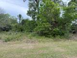 Lot 231 Scenic Woods Drive - Photo 12