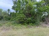 Lot 231 Scenic Woods Drive - Photo 13