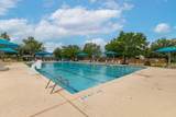 24539 Tribeca Lane - Photo 45