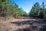 TBD County Road 4494 - Photo 6