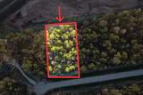 186 Bunkhouse Road - Photo 1