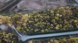 186 Bunkhouse Road - Photo 11