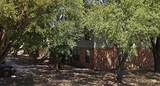 603 Parkside Dr - Photo 6