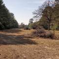 Lot 8 County Road 114 - Photo 7