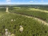 16039 Forest Mill Road - Photo 14