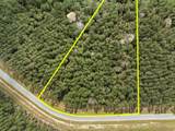 16039 Forest Mill Road - Photo 5