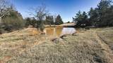 TBD #3 County Road 477 - Photo 13