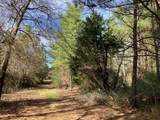 TR32 High View Drive - Photo 10