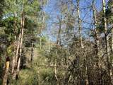 TR32 High View Drive - Photo 11