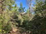 TR32 High View Drive - Photo 13
