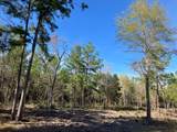 TR32 High View Drive - Photo 22