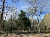 TR32 High View Drive - Photo 5
