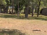 1139 County Rd 403 - Photo 35