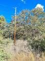 0000 County Road 237 - Photo 4