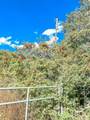 0000 County Road 237 - Photo 5