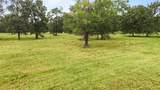 0 Turtle Road - Photo 11