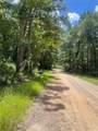 70 Tall Timbers Trail - Photo 2
