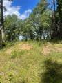 70 Tall Timbers Trail - Photo 5